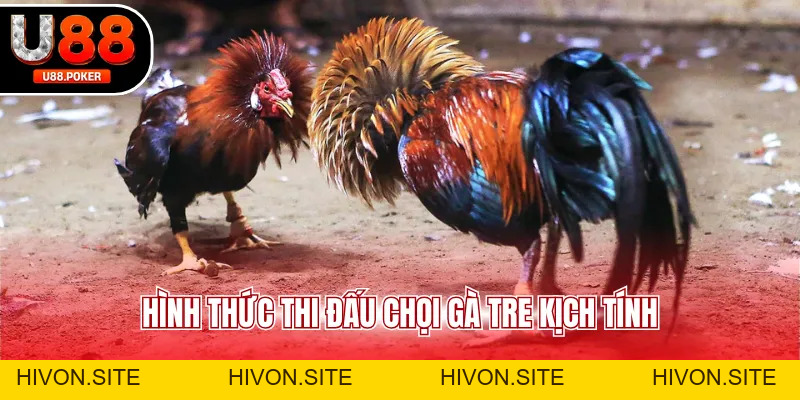 Trực Tiếp Đá Gà U88 Xem Livestream Cực Nét Mỗi Ngày